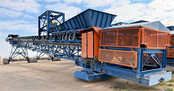 34 Units - Senet 1350mm (54") W X 38m (125') L Grasshopper Conveyors)